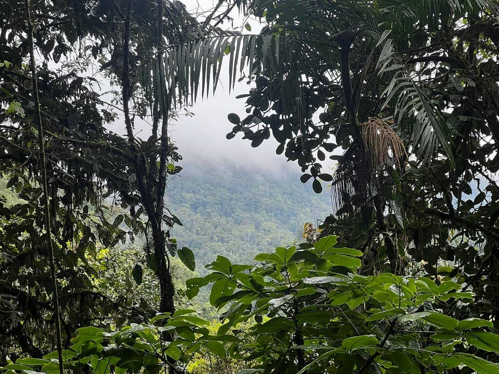 Waterfall Hikes & Cable Car