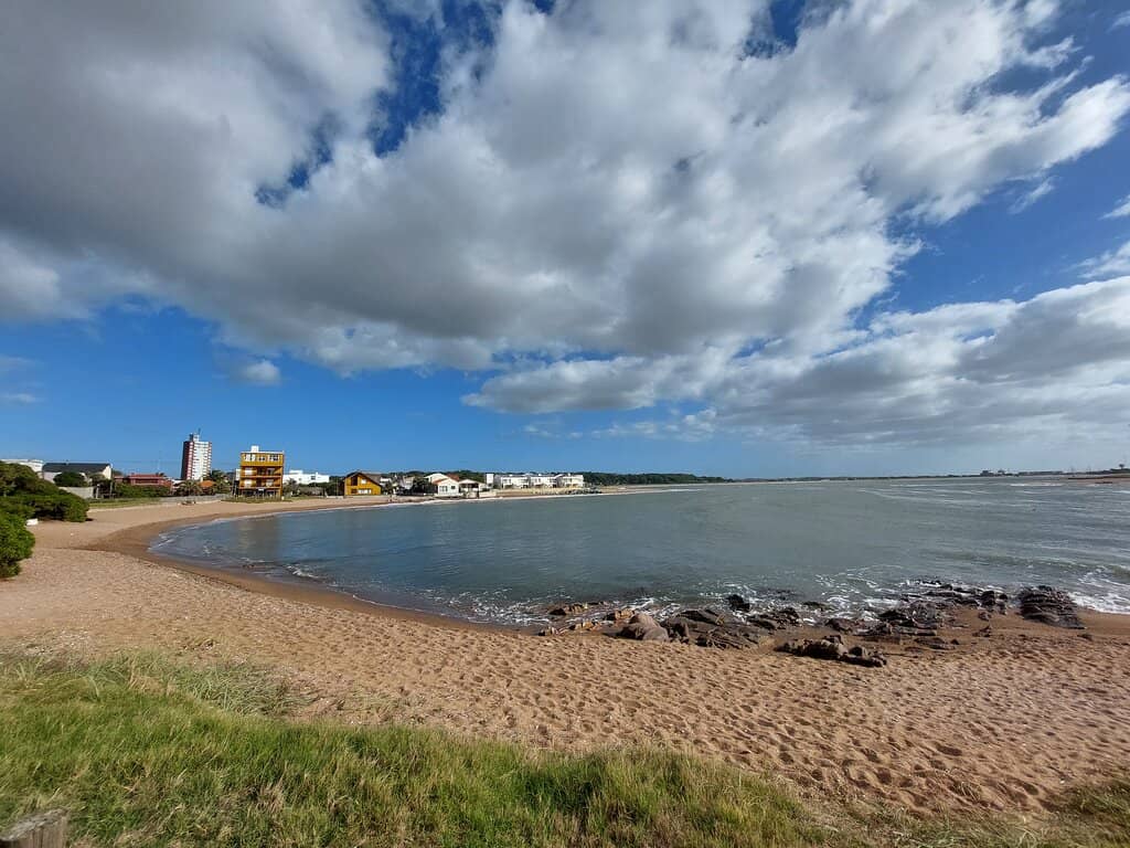 Abundant Marine Life Sightings