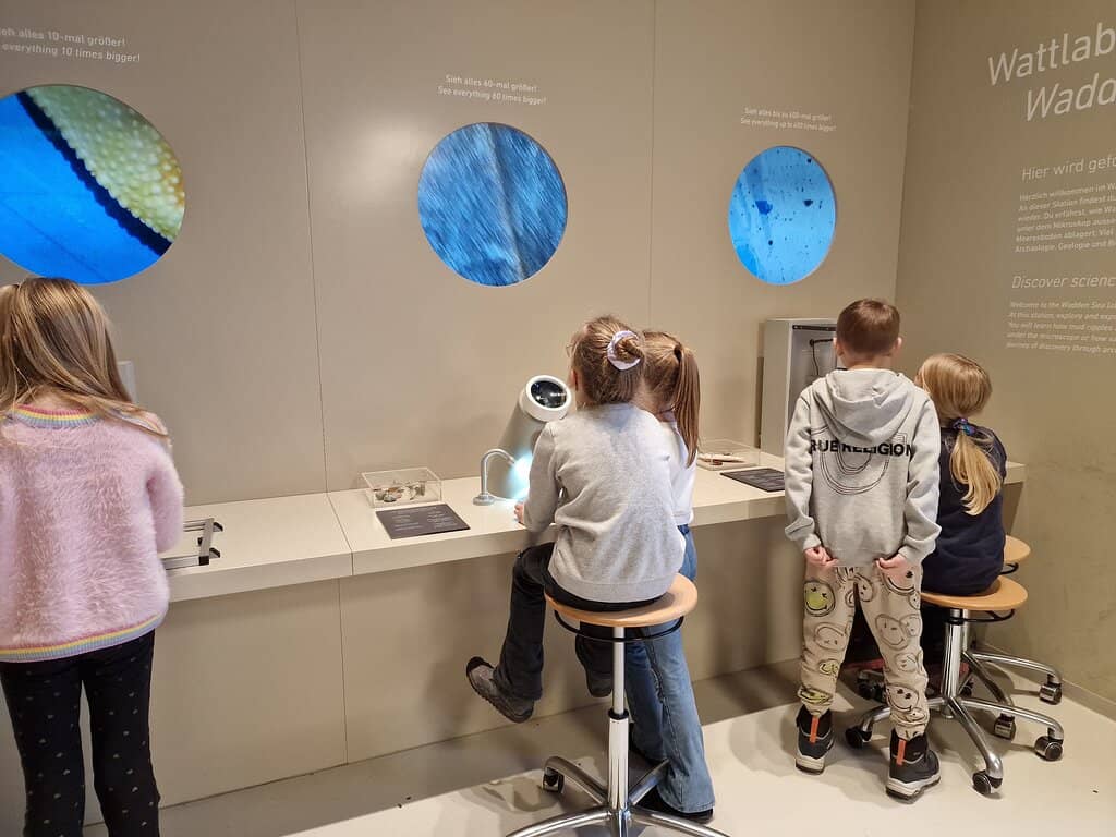 Rooftop Panoramic View