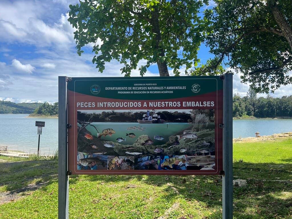 Waterspout Phenomenon