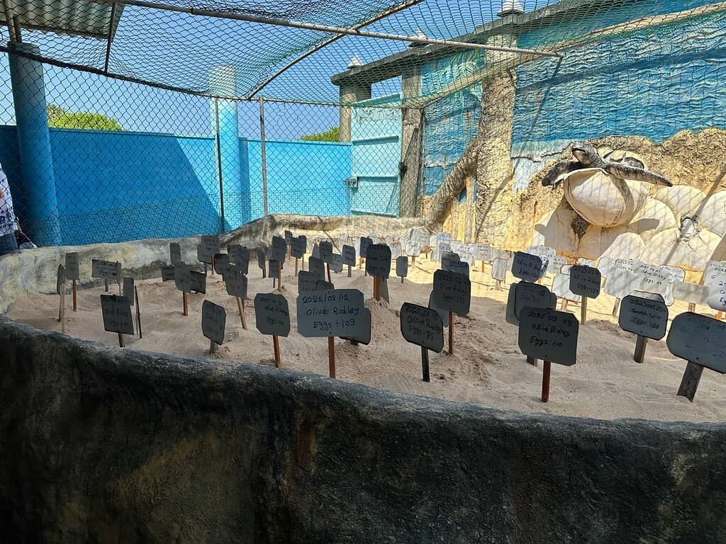 Educational Insights