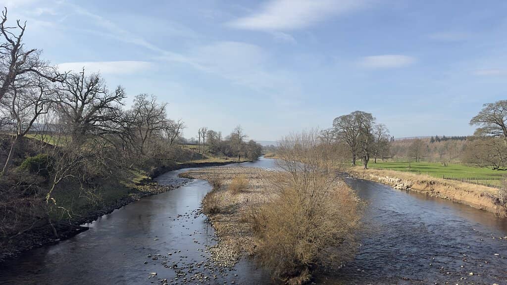 The Legendary 'Bench'