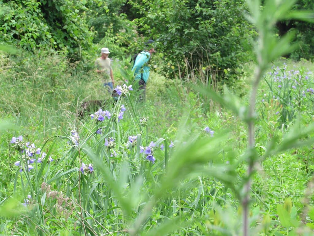 Appalachian Trail Section