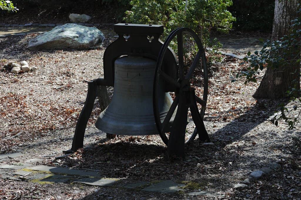 Springtime Flower Displays
