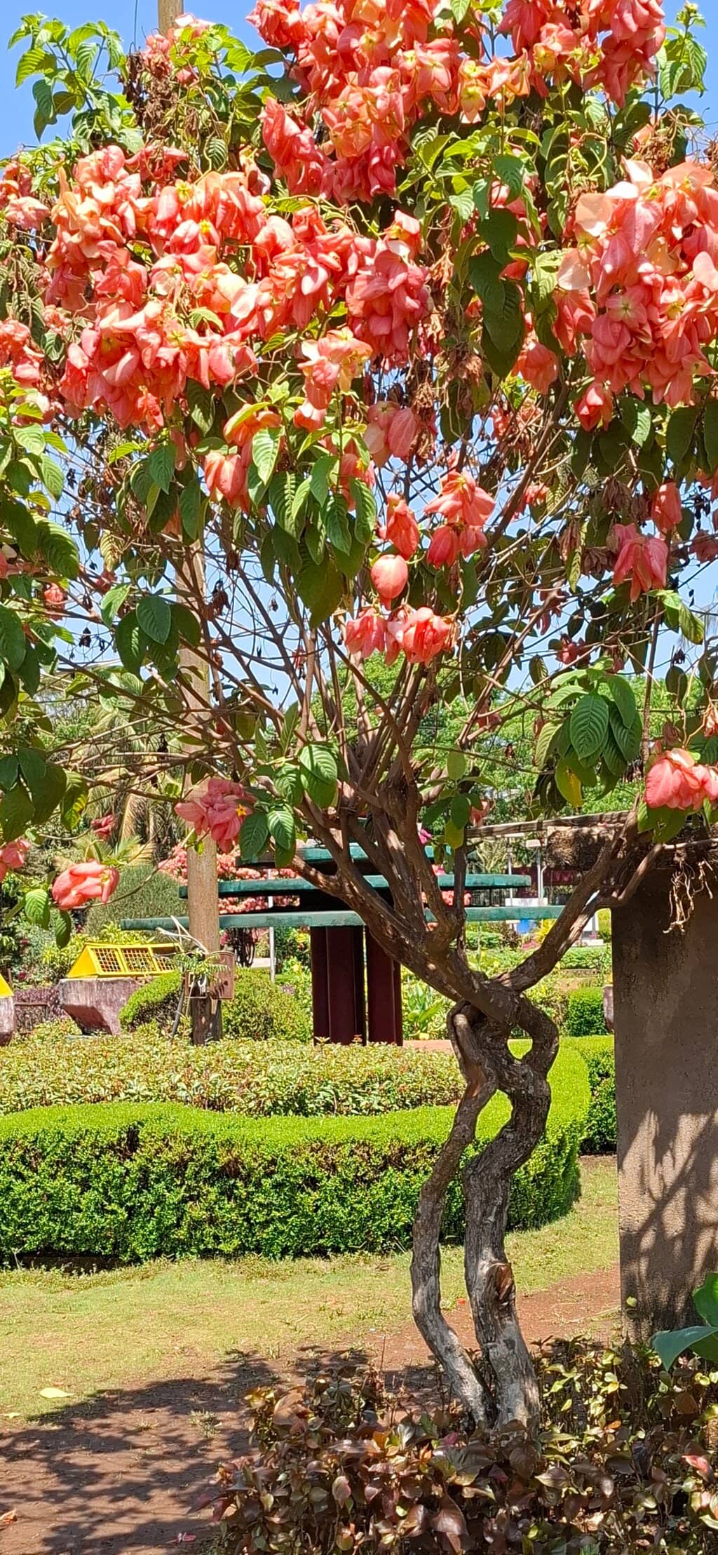 Peaceful Walking Paths