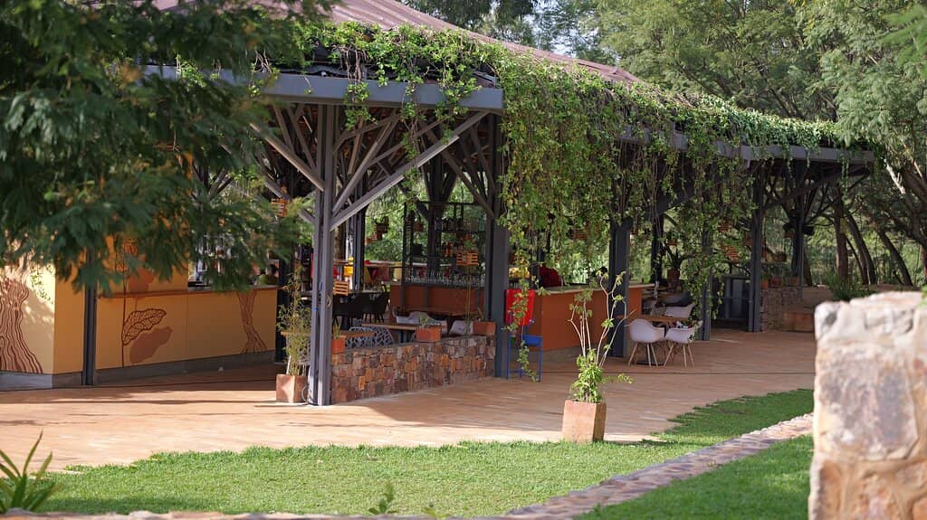 Action-Packed Quad Biking