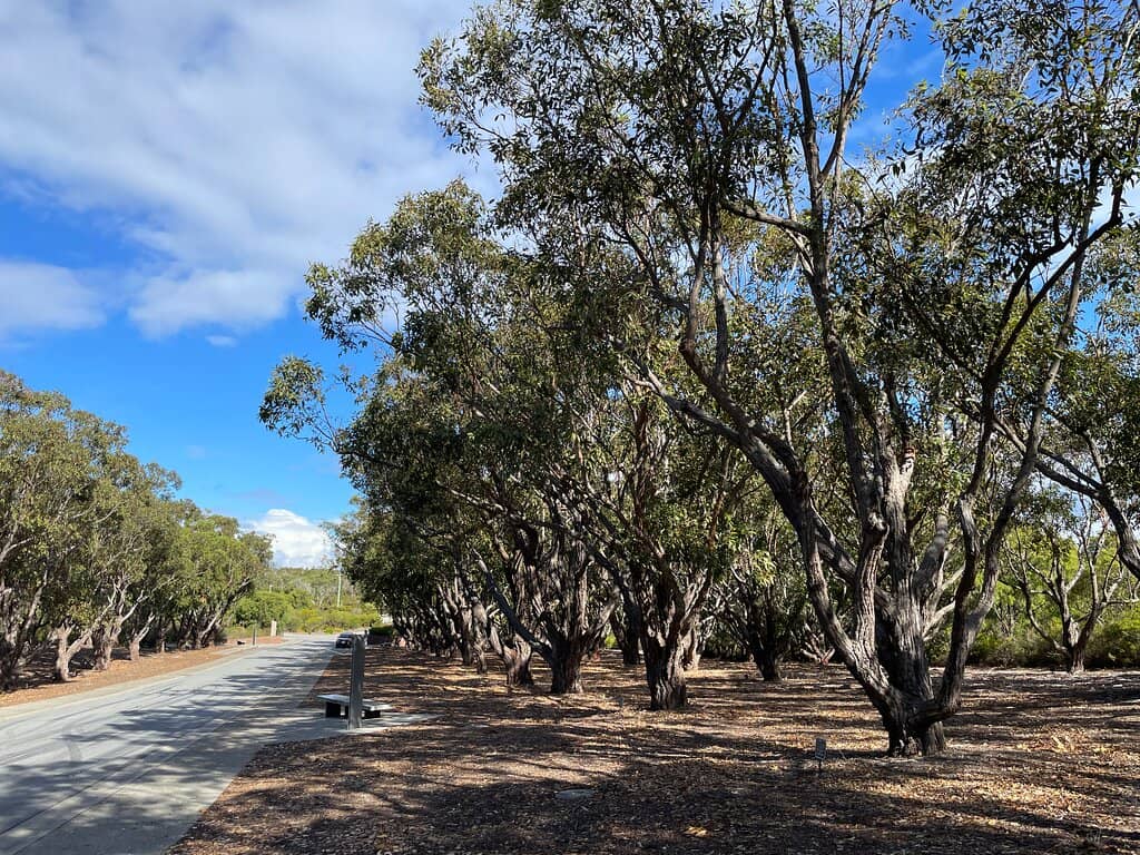 Princess Royal Fortress