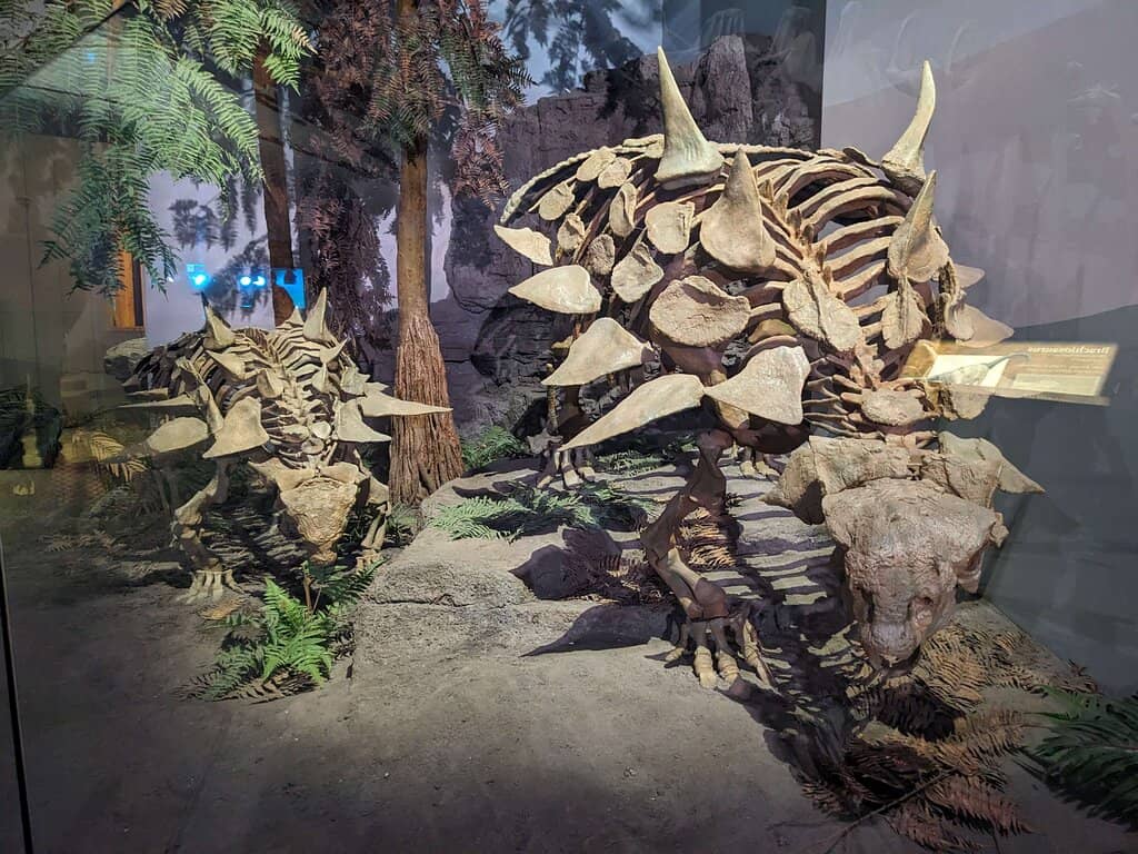 Interactive Kids' Zone