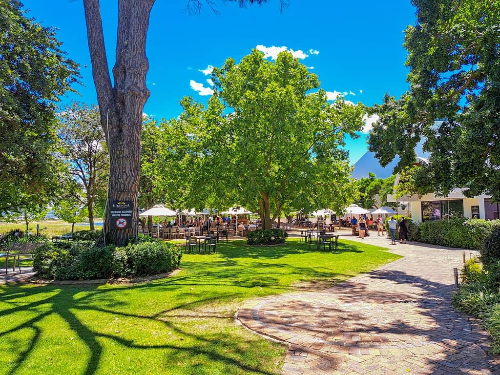 Kids' Tasting Experience