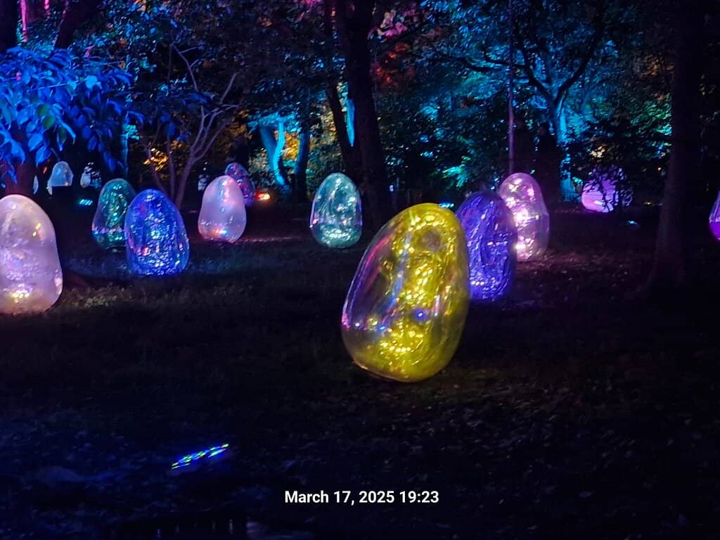 Floating Flower Garden