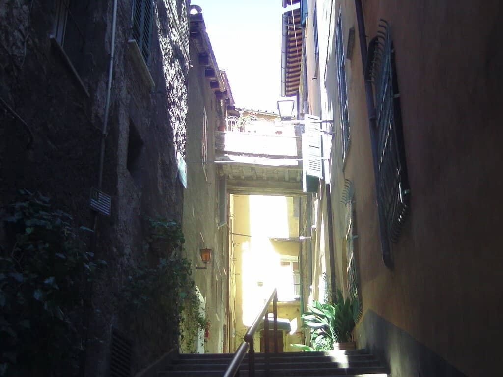 Vertical photo