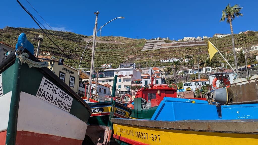 Câmara de Lobos Harbour View