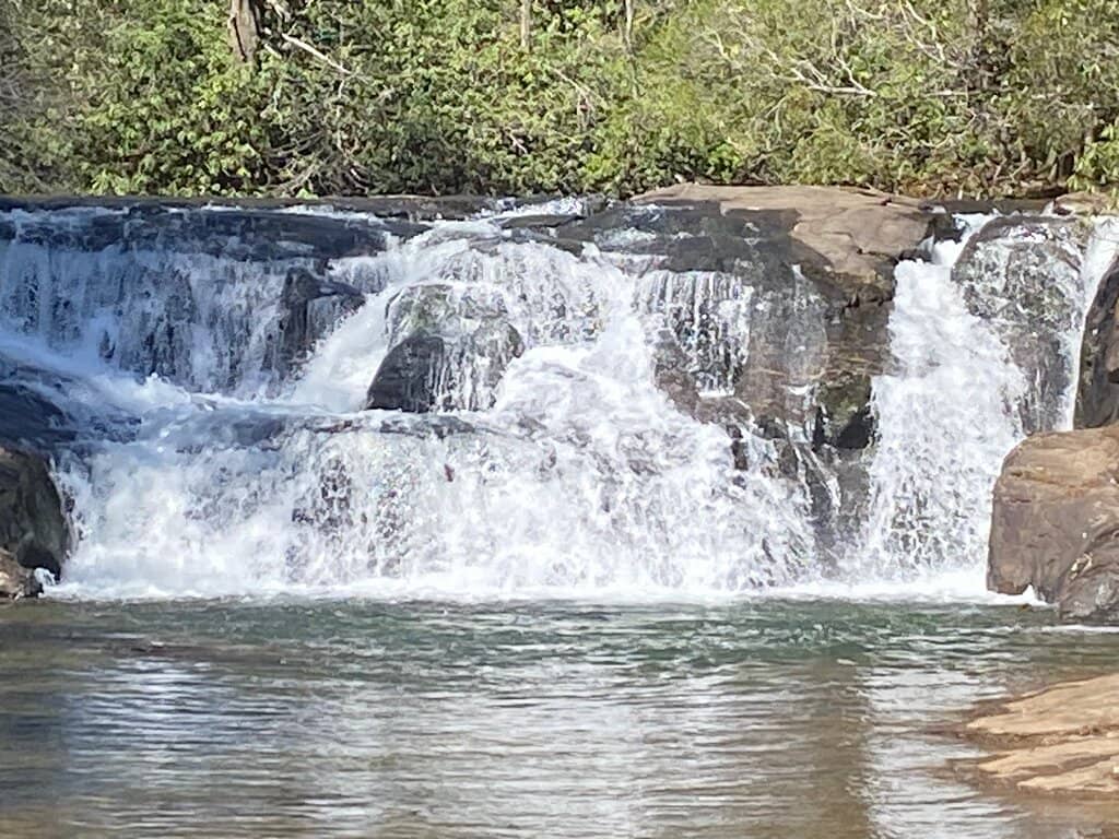 Dog-Friendly Exploration