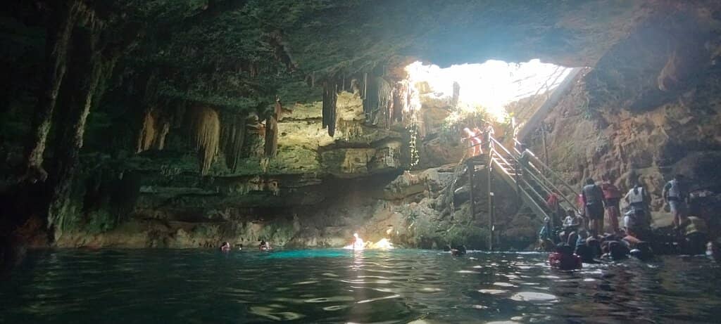 Bird Nests in the Ceiling
