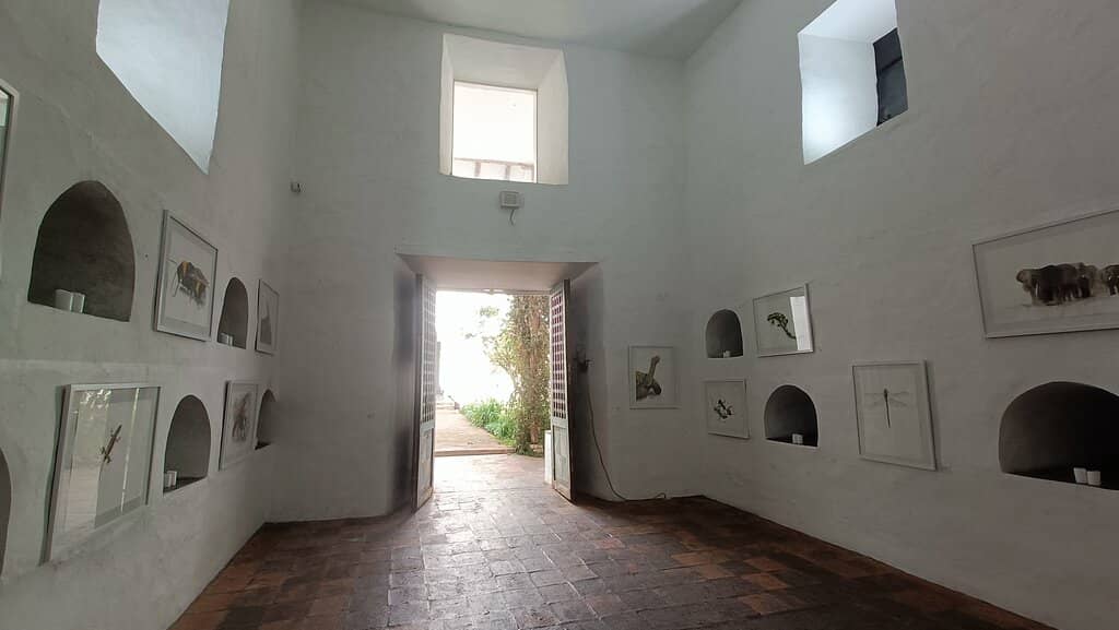 Religious Art Collection