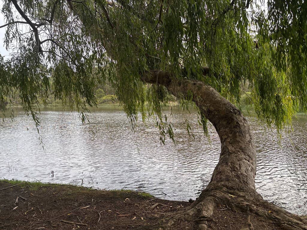 Stunning Lake and Garden Views