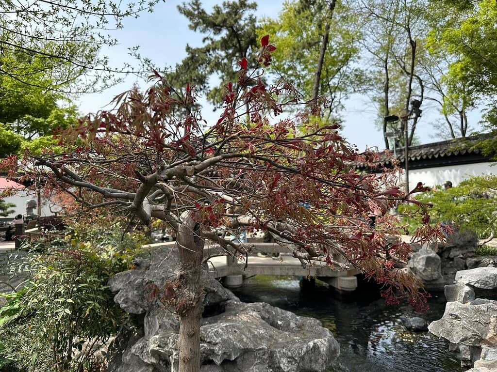 Monks Hanshan and Shi De