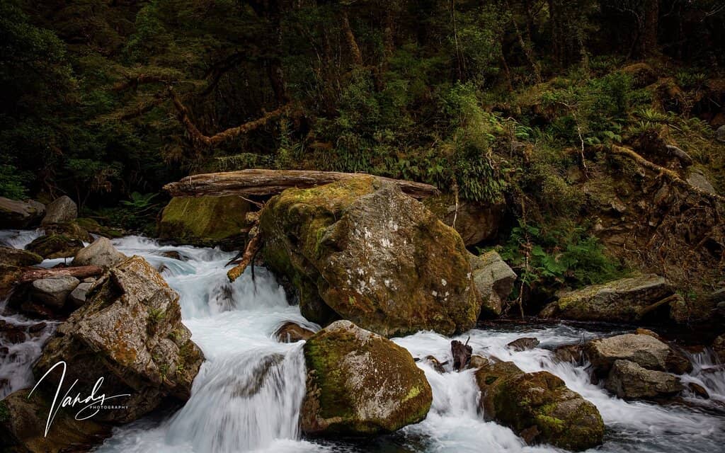 Fiordland National Park Scenery