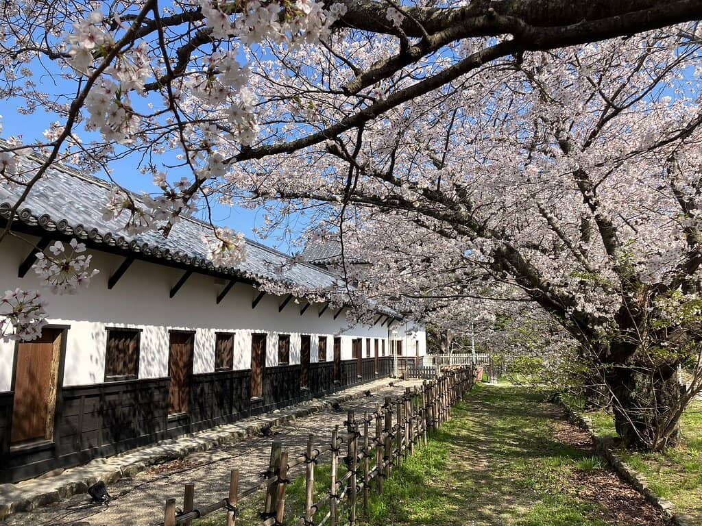 Nakatsukasamagotaro Inari Shrine