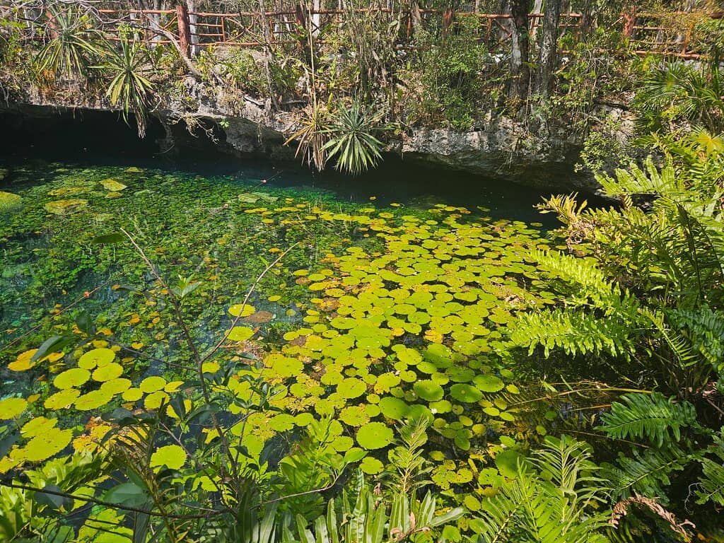 Cave Diving Opportunities
