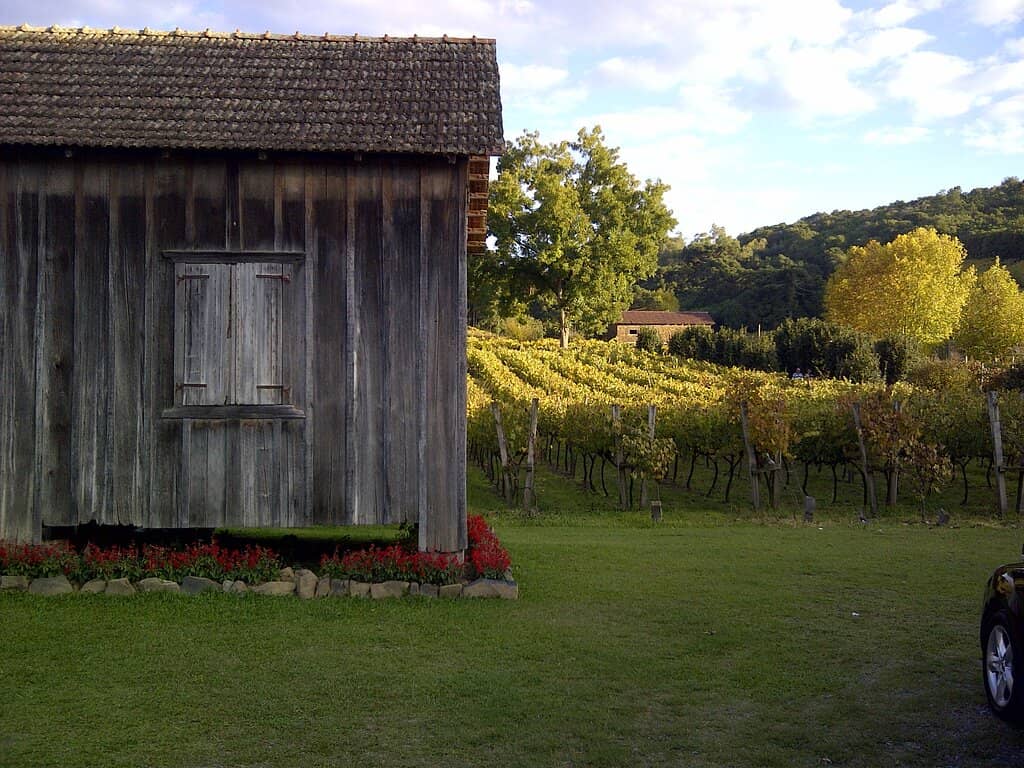 Local Delicacies Shop