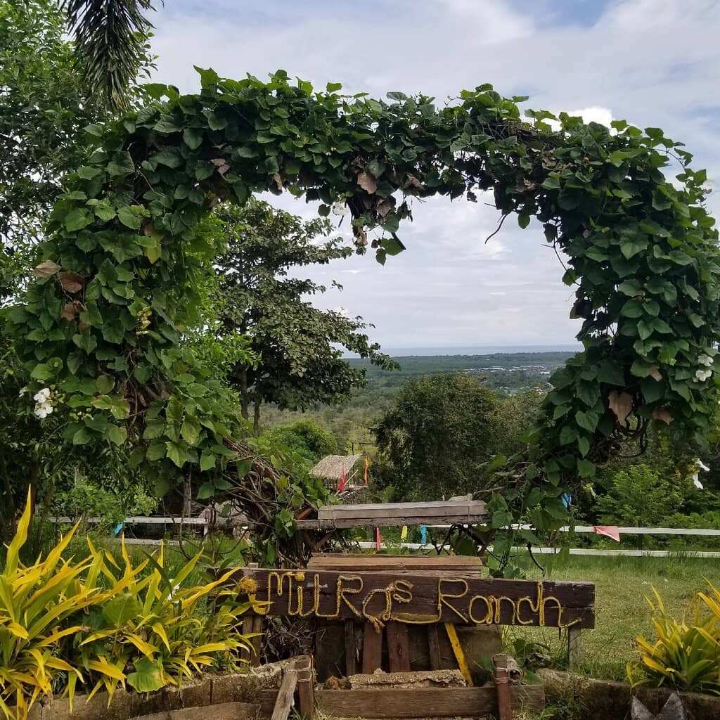 Panoramic City Views