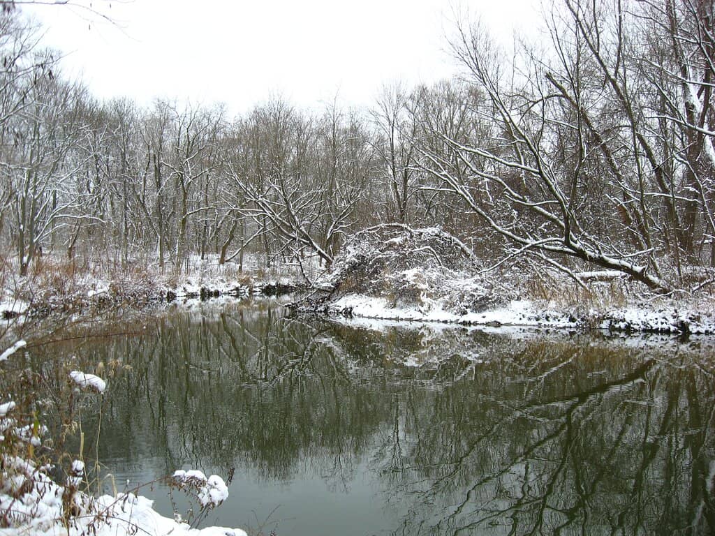 Scenic Hiking Trails
