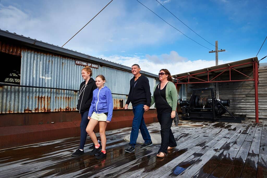 Original Processing Machinery