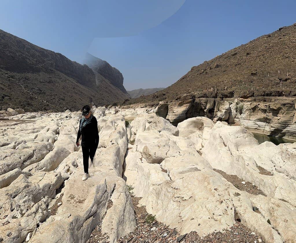 Bottle Trees in Bloom