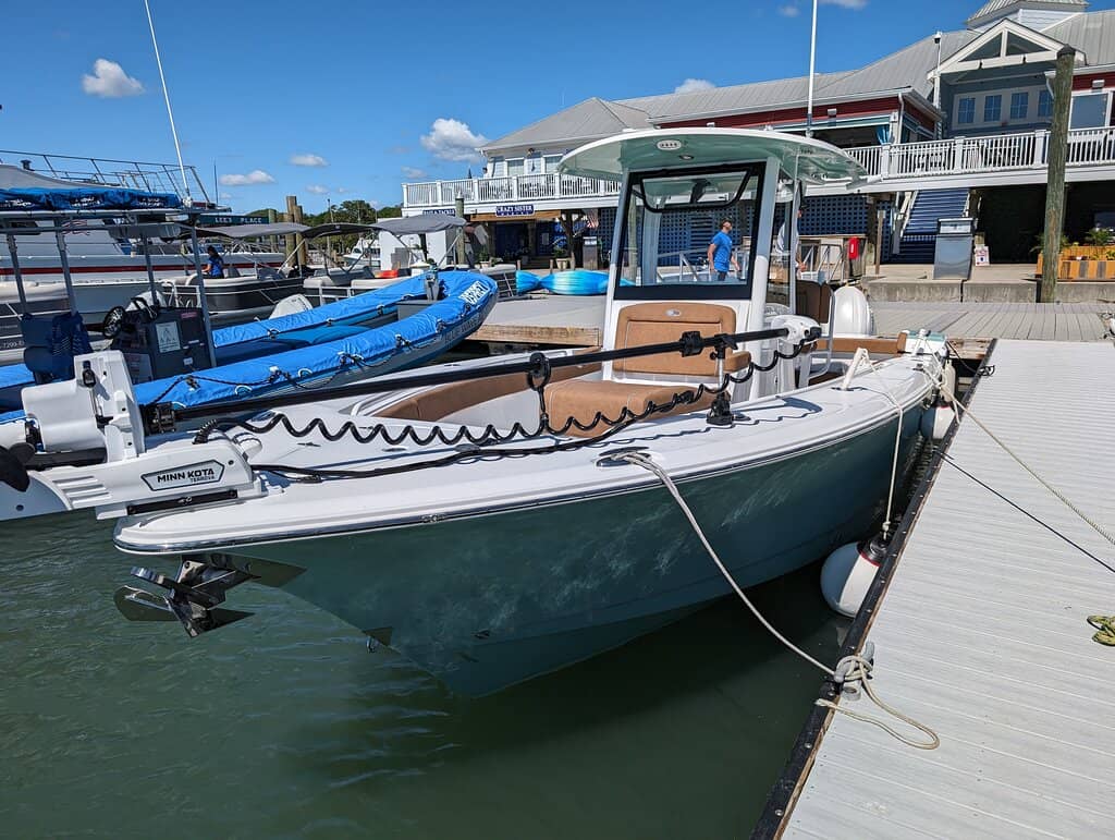 Dolphin Watching & Sunset Cruises