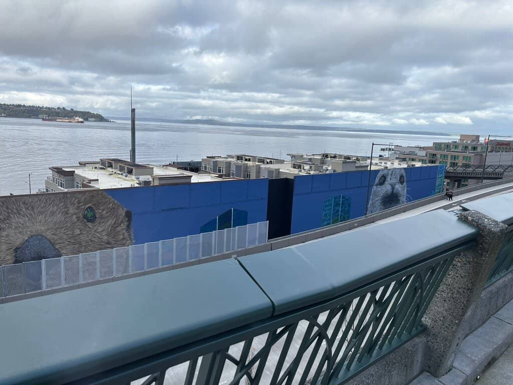 Live Music & Community Events