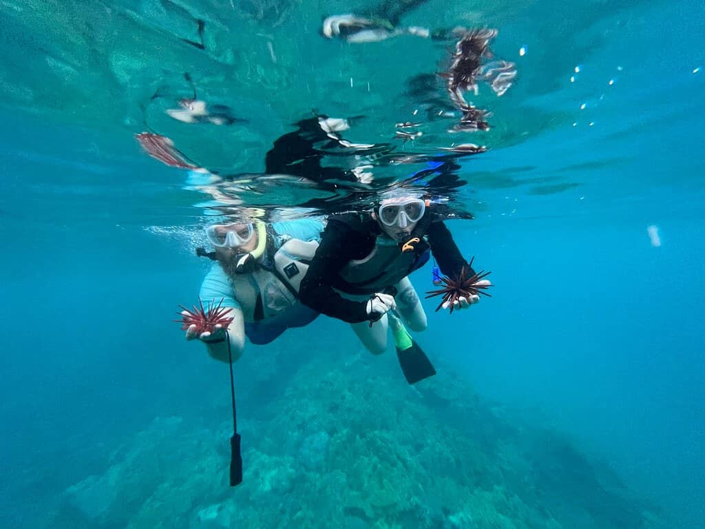 Snorkeling & Diving Paradise