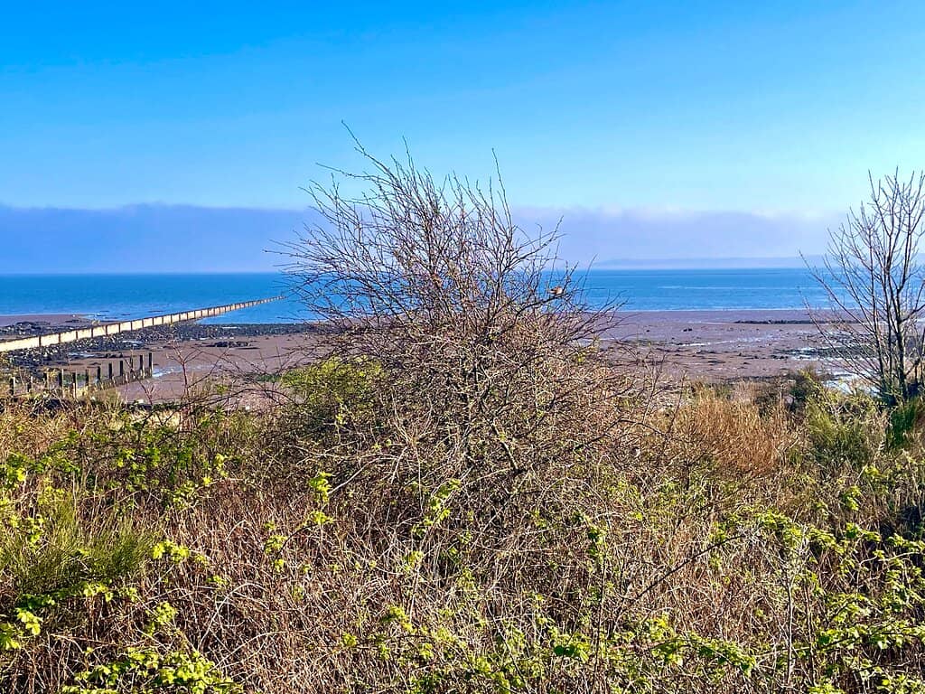 Scenic Coastal Walkway
