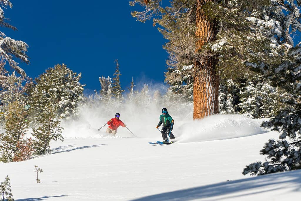 Challenging Terrain & Bowls