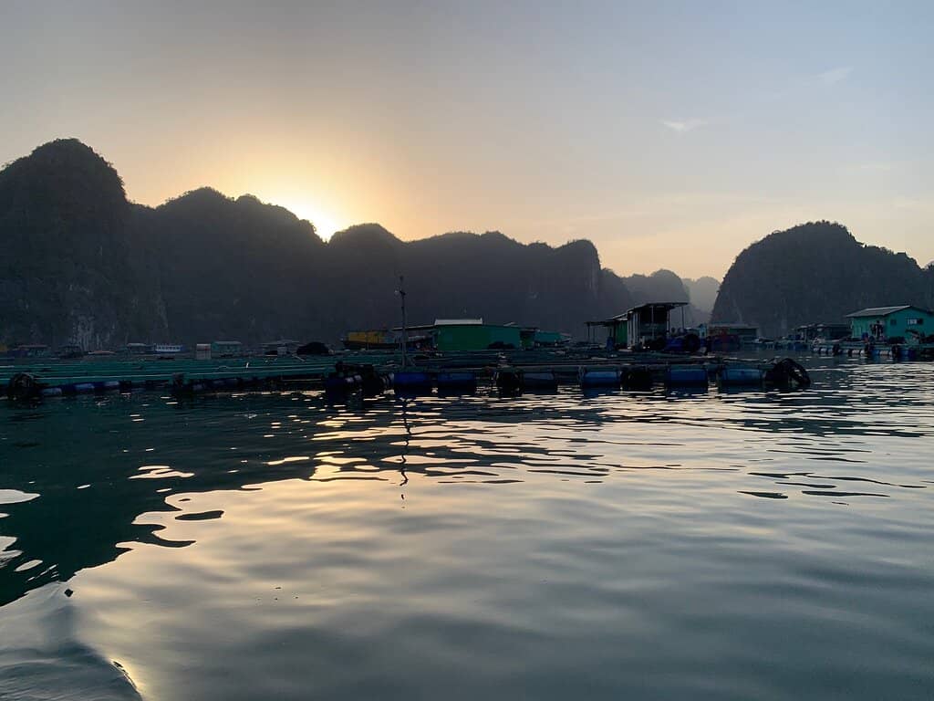 Colorful Floating Homes