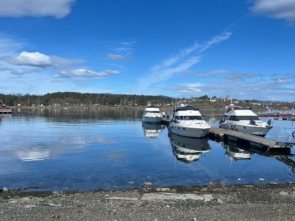 Nature and Birdwatching