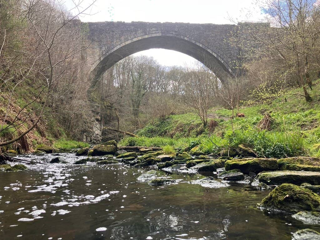 Causey Burn Gorge Walk