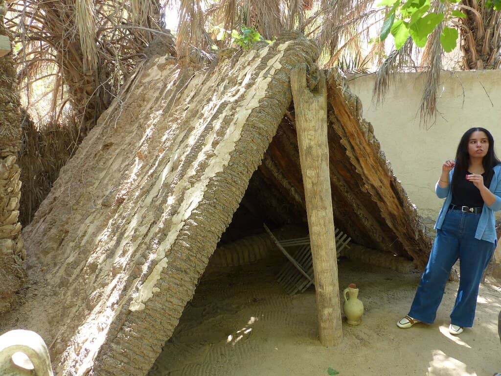 Date Palm Oasis Tour