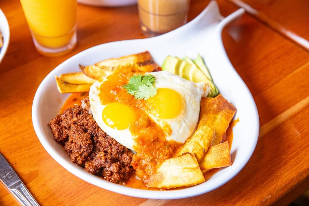 Lively Atmosphere and Decor