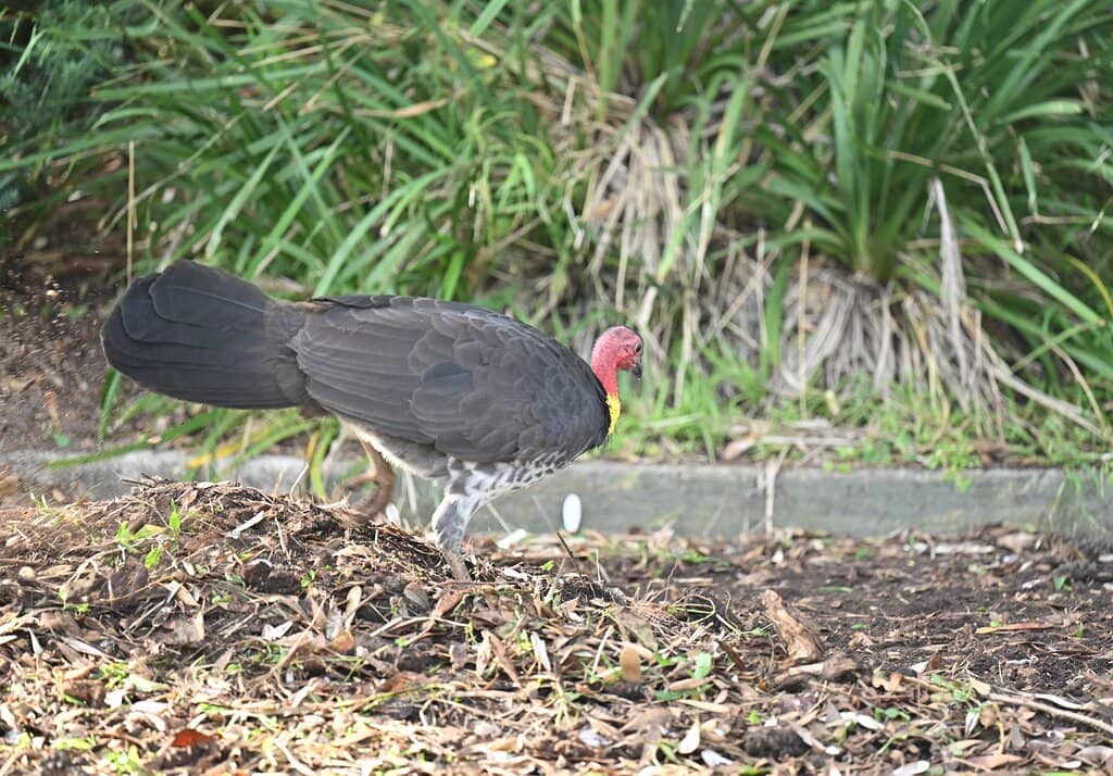 Underwater Nature Trail