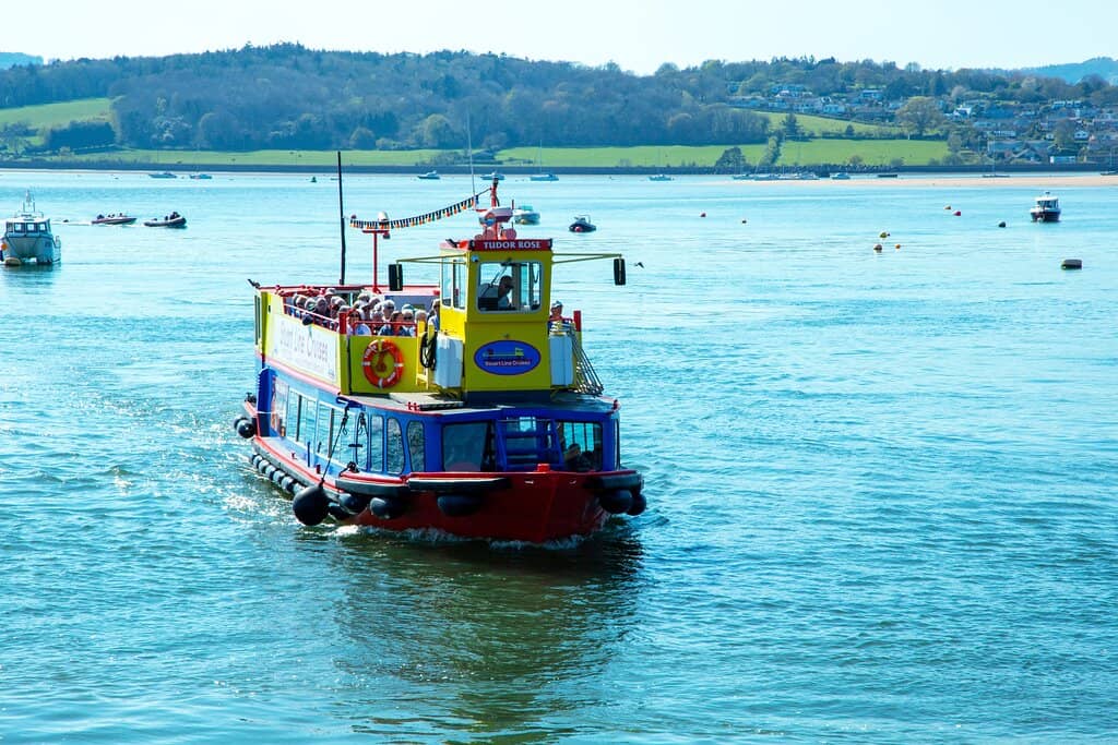 Exe Estuary Birdwatching