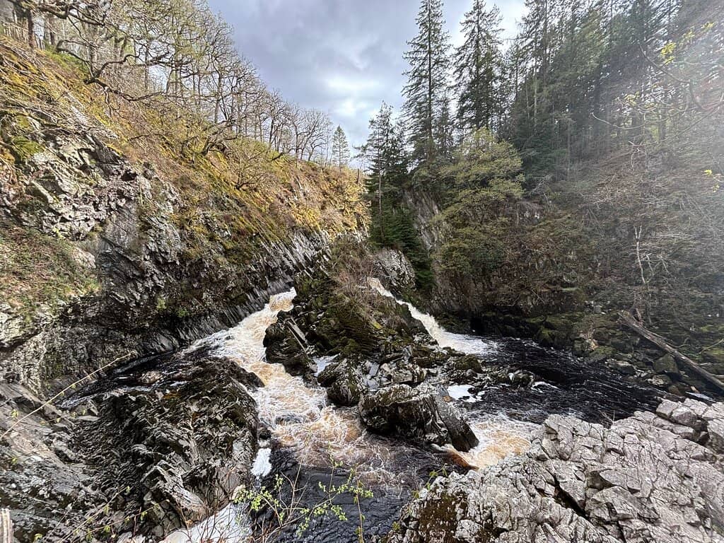 Woodland Walking Trails