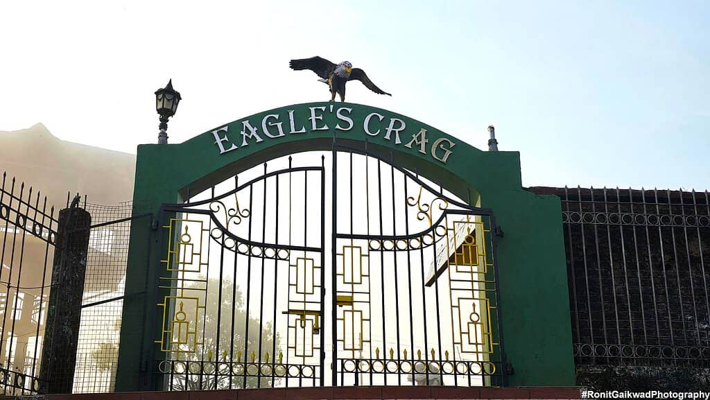 Dinosaur & Animal Statues