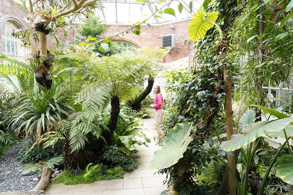 Renovated Tropical Greenhouse