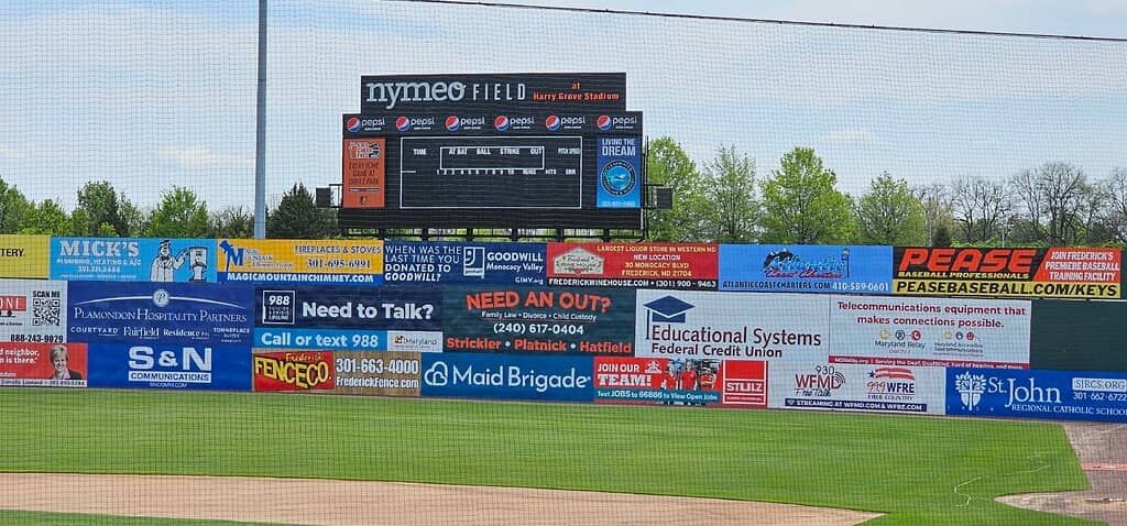 Themed Nights & Giveaways