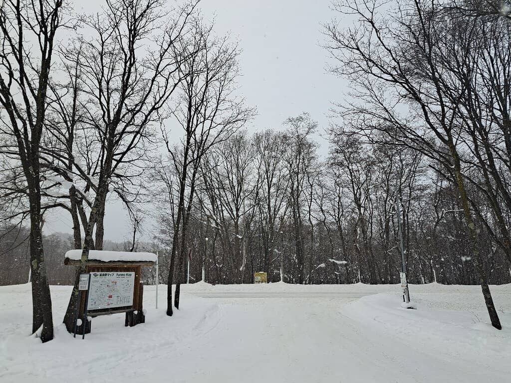 Creamy Soft Serve Ice Cream