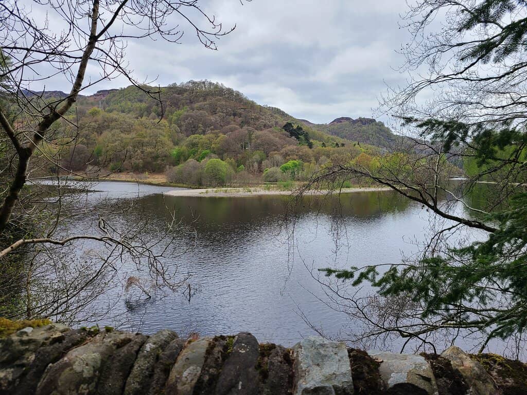 Symphony of Nature Theme