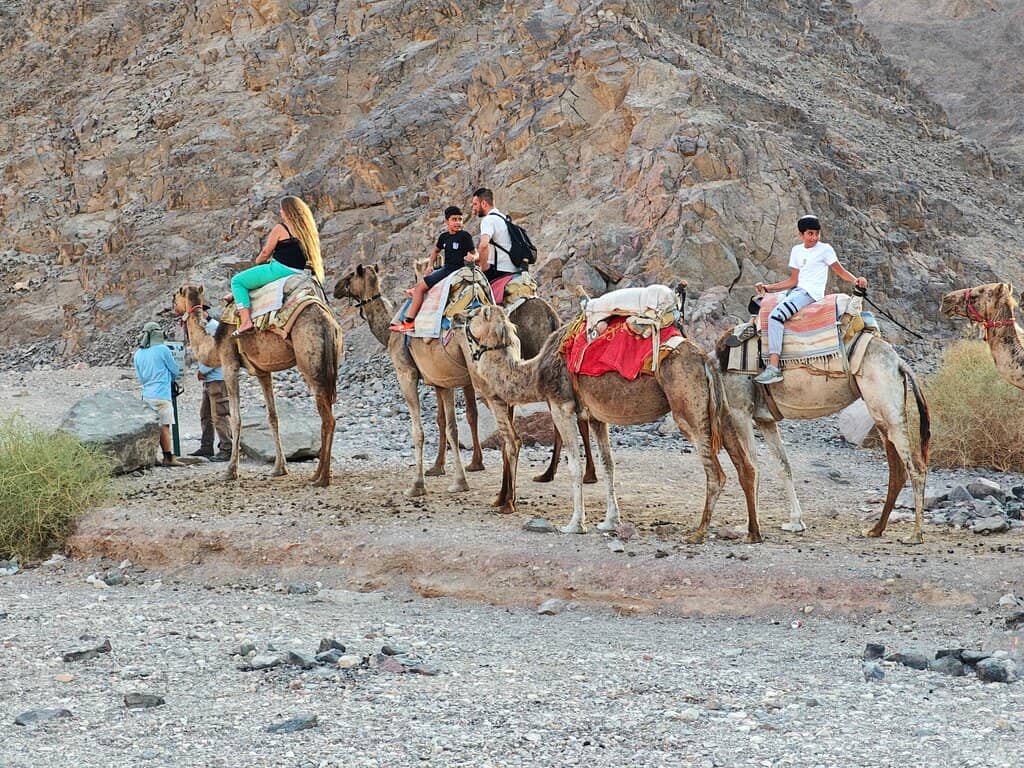 Rope Park & Bungee Jumping