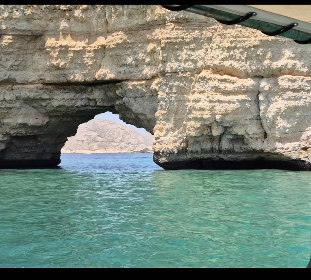 Dolphin Watching Tours