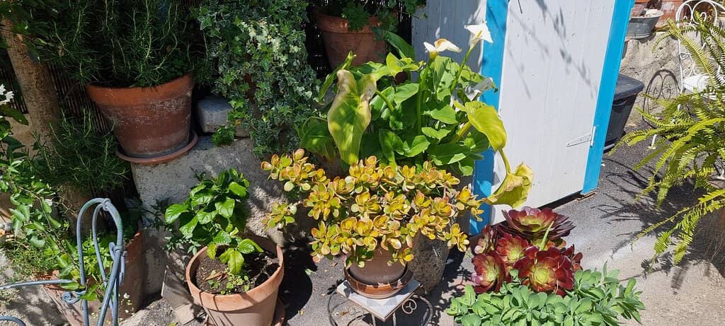 Local Stations of the Cross